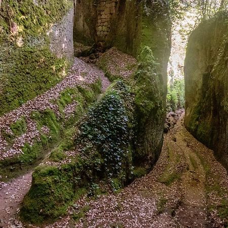 La Sorpresa Monolocale Con Vista Vallata Pitigliano Kültér fotó