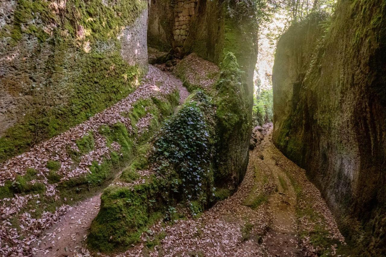 La Sorpresa Monolocale Con Vista Vallata Pitigliano Kültér fotó